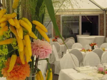 Foto: Alte Villa Ling